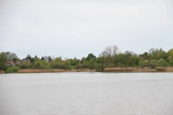 Primer Plano Lago Con Árboles Fondo — Foto de Stock