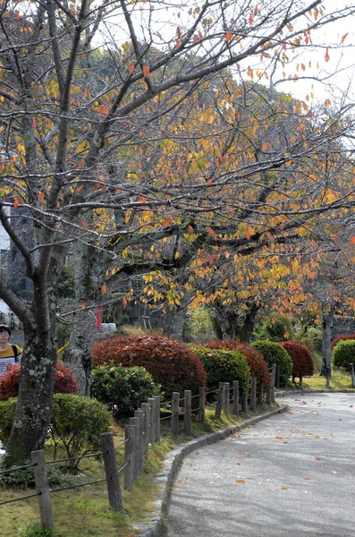 Kyoto Japan Грудня 2019 Кіото Япото Nov 2019 Філософський Шлях — стокове фото