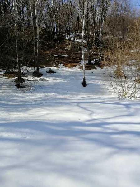 Uma Bela Vista Campo Neve Contra Céu Limpo Inverno — Fotografia de Stock