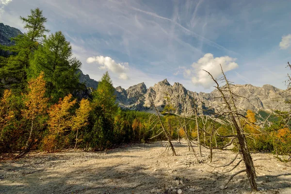 Pohled Údolí Wimbachgries Hochkalter Hocheisspitze Palfelhorn Umírající Stromy Národní Park — Stock fotografie