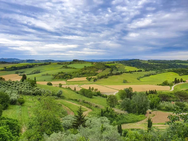 Beautiful Shot Green Hills Fields Tuscany — Stock Photo, Image