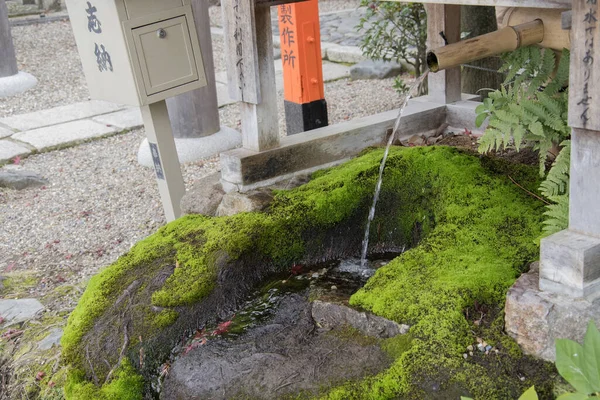 Kyoto Japonsko Prosince 2019 Kjóto Japonsko Listopadu 2019 Fontána Před — Stock fotografie