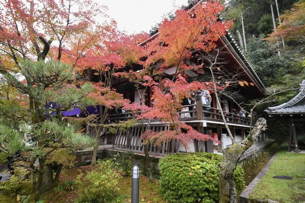 Kyoto Japan Dezember 2019 Kyoto Japan November 2019 Farbenfrohe Herbstblätter — Stockfoto