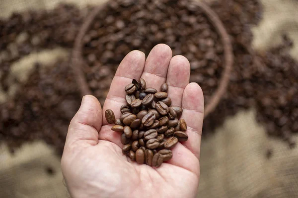 Person Holding Coffee Beans Wooden Bowl Filled Them — Stock Photo, Image