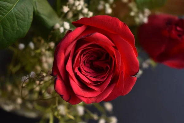 Πάνω Άποψη Του Ένα Κόκκινο Τριαντάφυλλο Ένα Μπουκέτο — Φωτογραφία Αρχείου