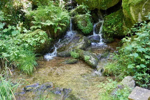 Vacker Flod Skogen Som Rinner Klippor Omgivna Tät Vegetation — Stockfoto