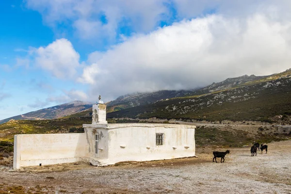 Bel Colpo Isola Greca Andros — Foto Stock