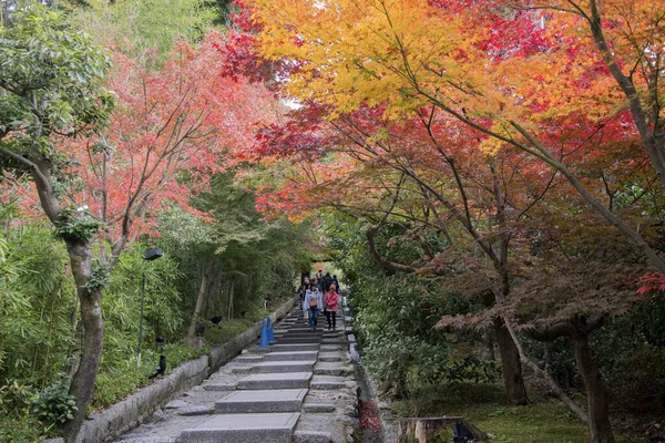 京都府京都市 2019年12月16日 京都府京都市 2019年11月27日 根の野道と高台寺を結ぶ大本堂坂石段 — ストック写真