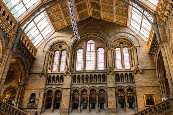 Londres Reino Unido Fevereiro 2018 Salão Museu História Natural Londres — Fotografia de Stock