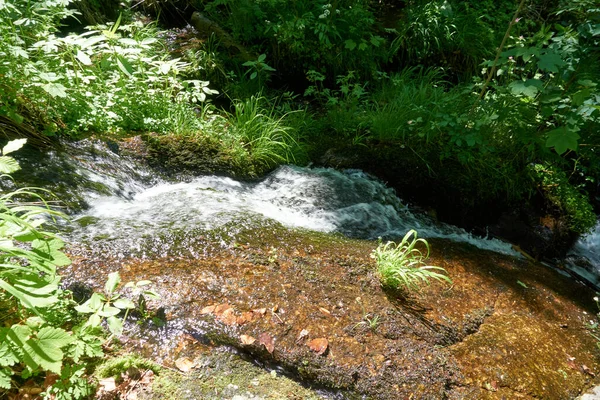 Hermoso Río Bosque Que Fluye Sobre Rocas Rodeadas Densa Vegetación —  Fotos de Stock