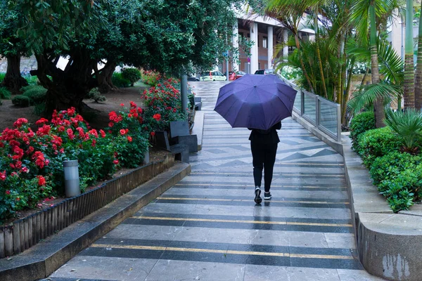 Una Vista Trasera Una Mujer Caminando Aire Libre Con Paraguas — Foto de Stock
