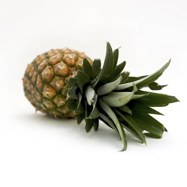 Eine Nahaufnahme Von Frischer Ananas Auf Weißem Hintergrund — Stockfoto