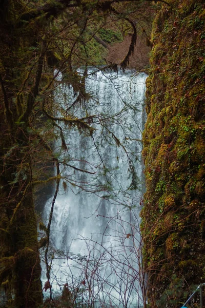 Una Vista Una Maravillosa Cascada Través Ramas Árboles — Foto de Stock