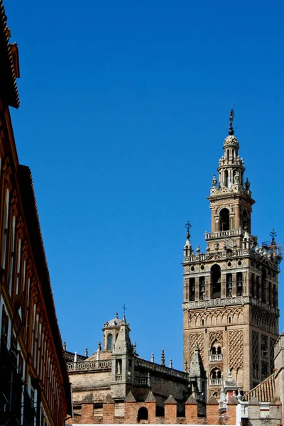 Colpo Verticale Del Campanile Giralda Siviglia Spagna Sfondo Blu Cielo — Foto Stock