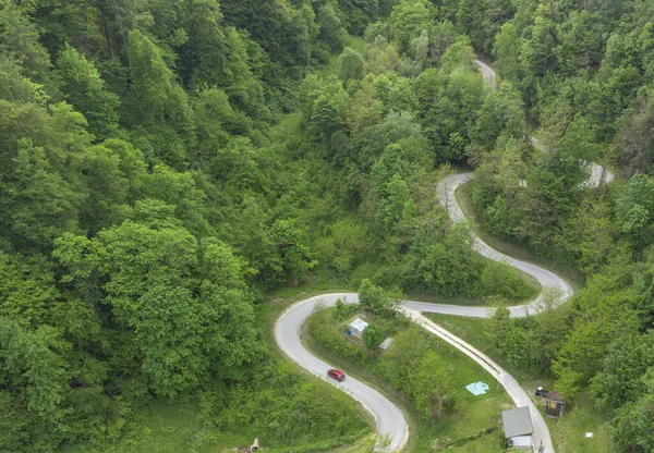 Tiro Aéreo Uma Estrada Sinuosa Através Exuberante Floresta Verde — Fotografia de Stock