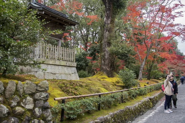 Kyoto Japon Déc 2019 Kyoto Japon Nov 2019 Les Touristes — Photo