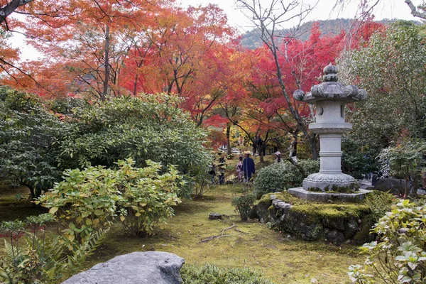 Kyoto Japan Dec 2019 Kyoto Japan Nov 2019 Visitors Enjoy — Stock Photo, Image