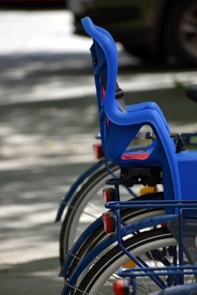 Sebuah Kursi Roda Untuk Orang Orang Dengan Mobilitas Cacat Taman — Stok Foto
