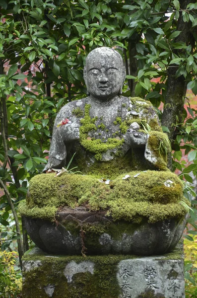2019年12月13日 日本京都 2019年11月24日 位于京都的江户寺石像的近景 — 图库照片