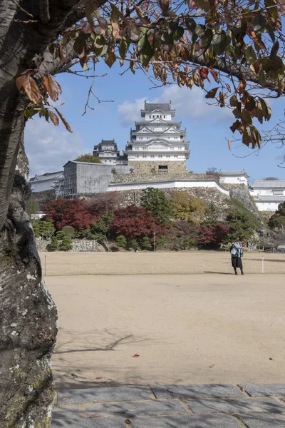 Himeji Japan Dec 2019 Gimeji Japan Nov 2019 Beautiful White — 스톡 사진