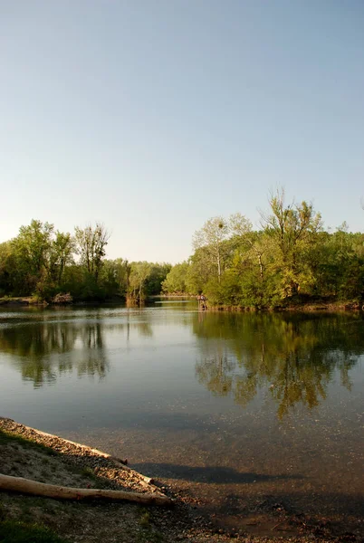 Lake Untouched Nature Wilderness Vienna Lobau Áustria — Fotografia de Stock