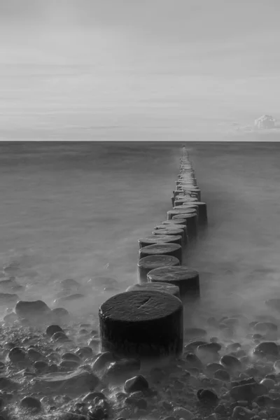 Una Toma Vertical Arandelas Madera Península Fischland Darss Zingst Mar — Foto de Stock