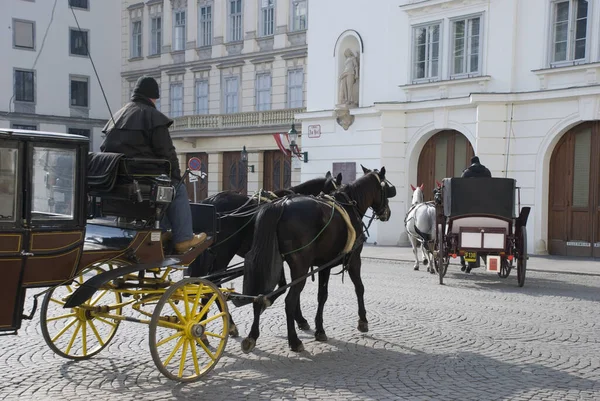 Wien Österreich März 2013 Berühmte Pferdekutsche Fiaker Wien Österreich Unterwegs — Stockfoto