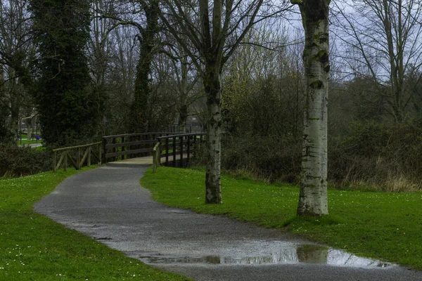 Sendero Húmedo Través Hierba Para Caminar Correr Hacer Ejercicio —  Fotos de Stock