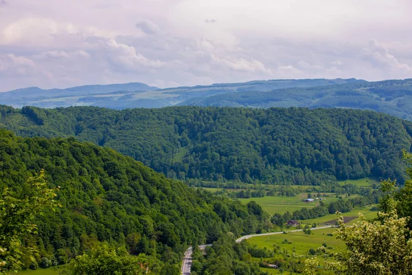 Paisaje Magnífico Con Árboles Gruesos Vastas Colinas Montañas Día Nublado —  Fotos de Stock