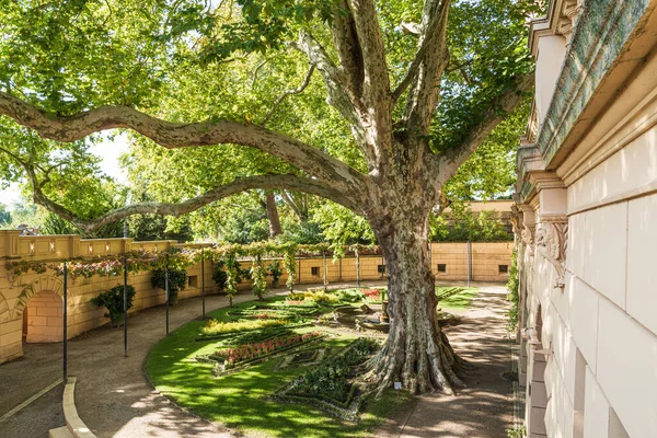 Beautiful View Yard Old Tree Stone Building — Stock Photo, Image