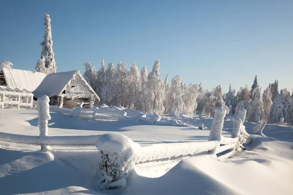 Snöig Kylig Vinter Byn Snötäckta Träd Häckar Tak Över Hus — Stockfoto
