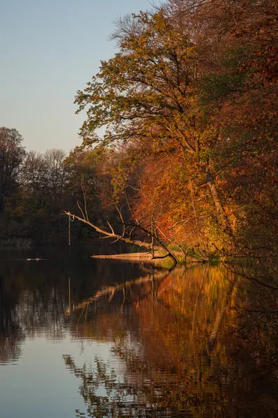 Eine Wunderschöne Landschaft Von Bäumen Mit Herbstfarben Die Sich Einem — Stockfoto