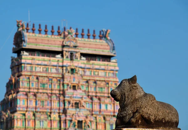 Afbeelding Van Een Nandi Sculptuur Voorgrond Thillai Nataraja Tempel Achtergrond — Stockfoto