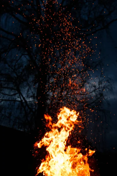 Een Verticaal Schot Van Een Kampvuur Nachts Met Bomen Achtergrond — Stockfoto