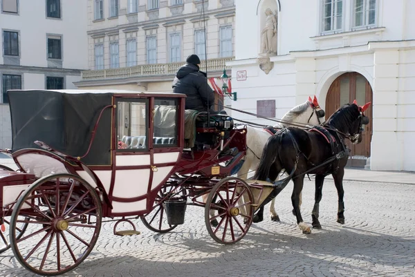 Wien Österreich März 2013 Berühmte Pferdekutsche Fiaker Wien Österreich Unterwegs — Stockfoto