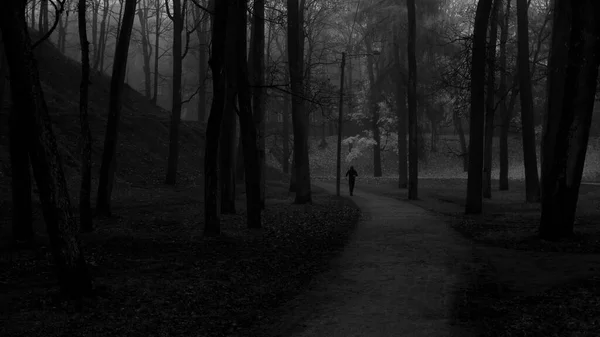 Silhouette Eines Läufers Einem Nebligen Herbstmorgen Toomemagi Park — Stockfoto