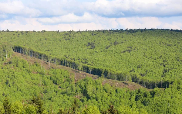 Aerial Shot Portion Deforested Forest Mountain — Photo