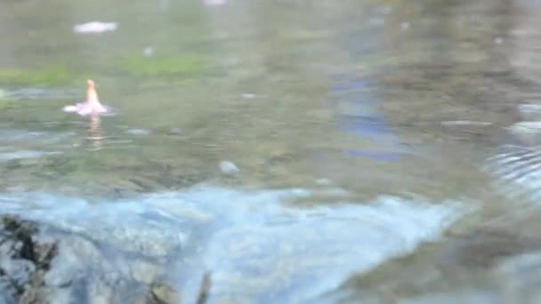 Αφηρημένο Υπόβαθρο Των Κυμάτων Στο Νερό Φύση Καλοκαίρι Έννοια Αντίγραφο — Αρχείο Βίντεο