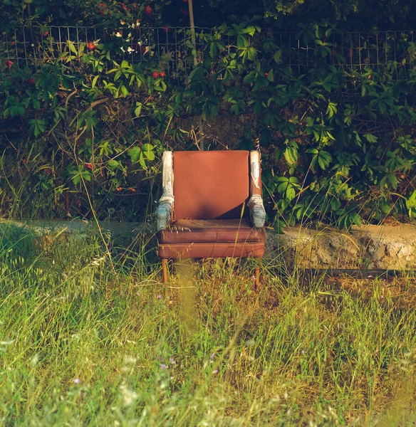 Vertical Shot Old Armchair Green Park — 图库照片