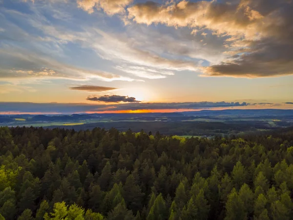 Beautiful Sunset Scenic Forest Trees Cloudy Sky — Stock fotografie