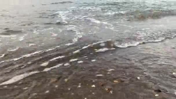 Θαλάσσια Κύματα Στην Παραλία — Αρχείο Βίντεο