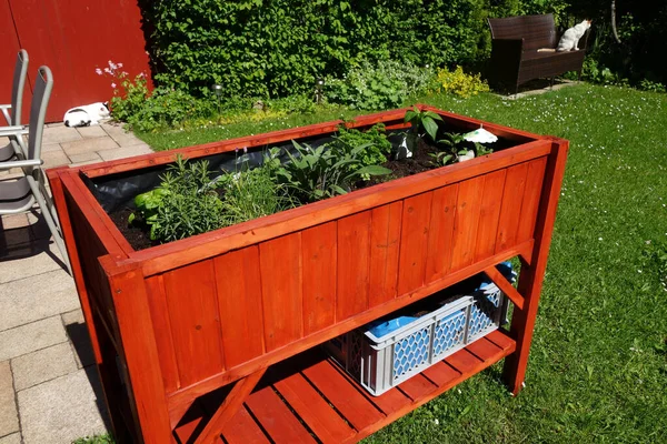 Raised Bed Filled Different Herbs Garden — Stock fotografie