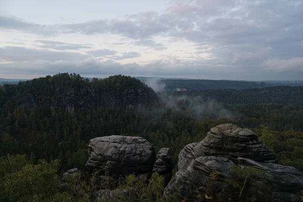 Faszinierender Blick Auf Felsformationen Und Dichte Grüne Bäume Nationalpark Sächsische — Stockfoto
