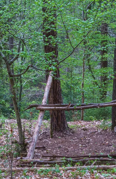 Veduta Naturale Antiche Strutture Legno Appoggiate Albero Nella Foresta — Foto Stock