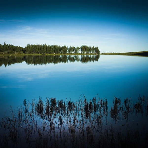 Uma Vista Panorâmica Árvores Céu Claro Refletindo Sobre Lago Servieres — Fotografia de Stock