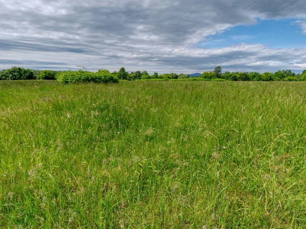 Eine Wunderschöne Landschaft Eines Landwirtschaftlichen Feldes Unter Dem Bewölkten Himmel — Stockfoto
