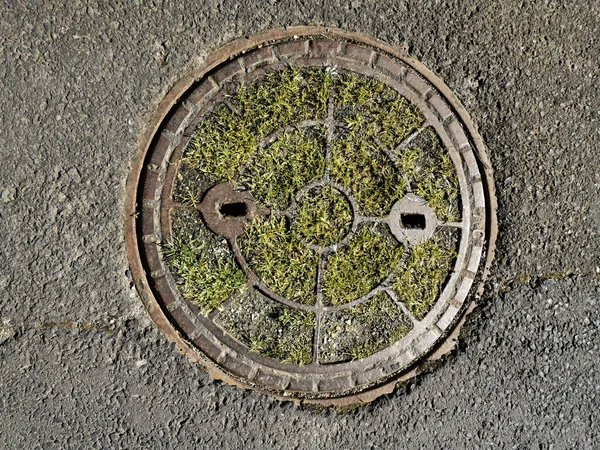 Top View Grass Growing Rusty Manhole Cover — Stock fotografie