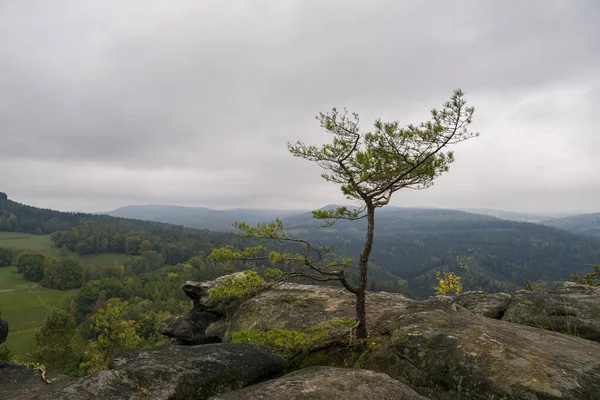 Uma Vista Hipnotizante Formações Rochosas Densas Árvores Verdes Parque Nacional — Fotografia de Stock