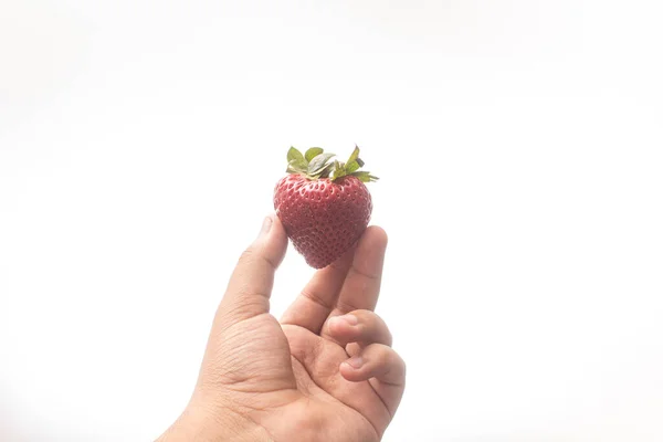 Closeup Shot Strawberry Male Hand Isolated Background — Foto de Stock
