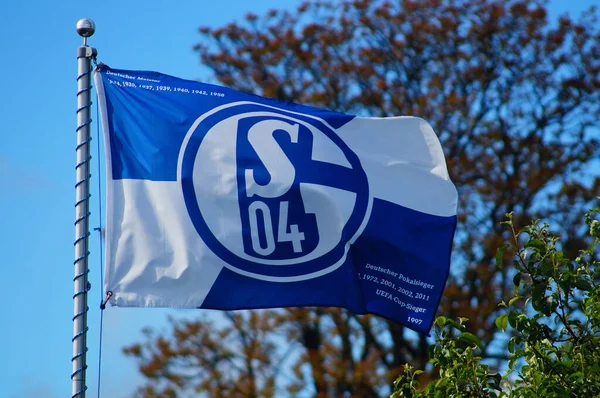 Frankfurt Germany May 2021 Schalke Flag Flies Allotment Garden Frankfurt — Zdjęcie stockowe